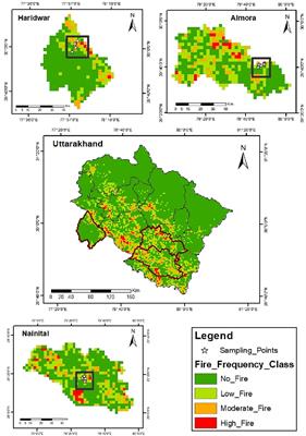 Loss of carbon stock in the forests of Uttarakhand due to unprecedented seasonal forest fires